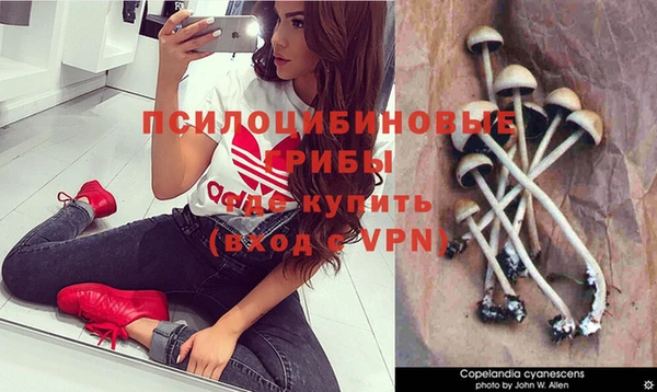 индика Алексеевка