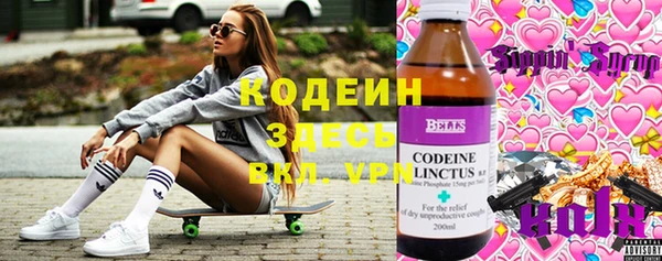 индика Алексеевка