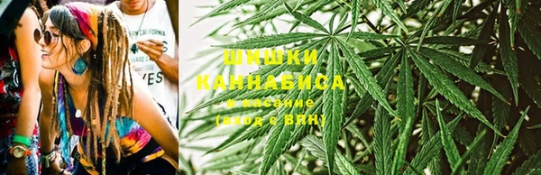 ПСИЛОЦИБИНОВЫЕ ГРИБЫ Алексин