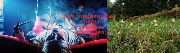 гашик Армянск